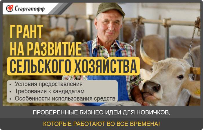 Субсидии на сельское хозяйство: как получить. - права семей