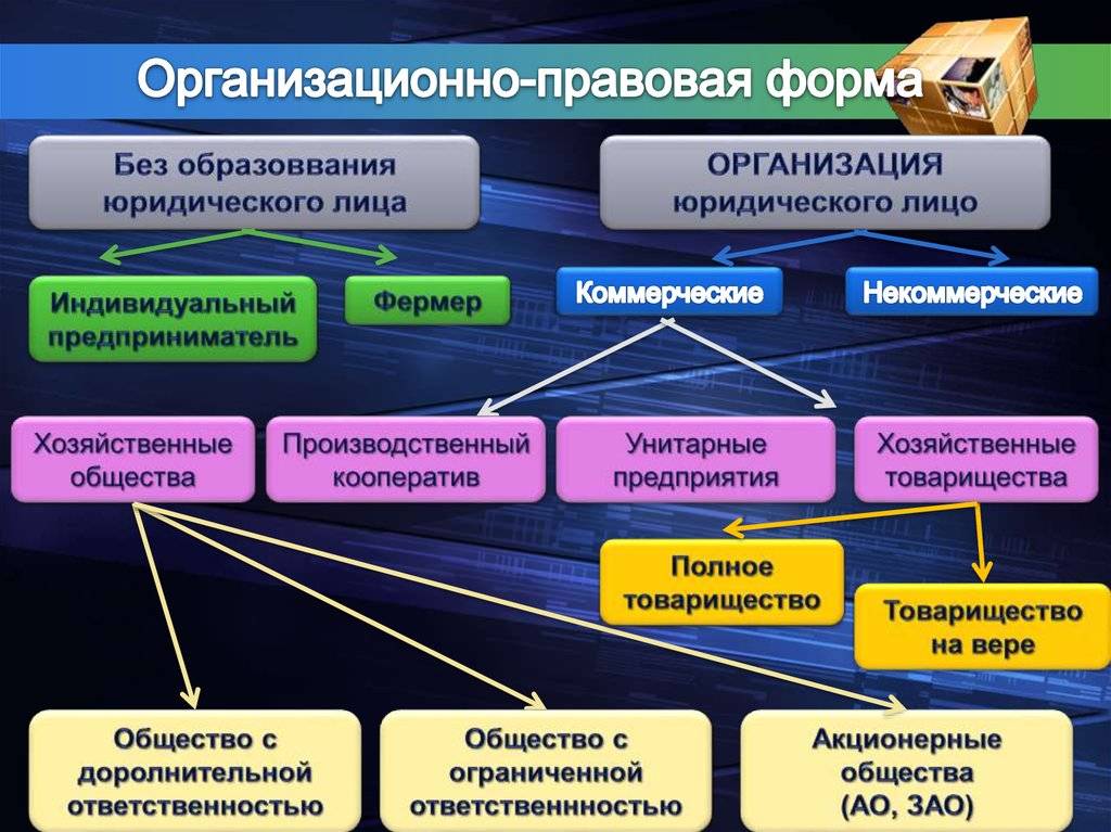 Организационно правовая форма образец