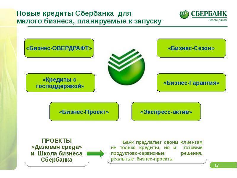 Как взять кредит для ип и малого бизнеса в сбербанке россии
