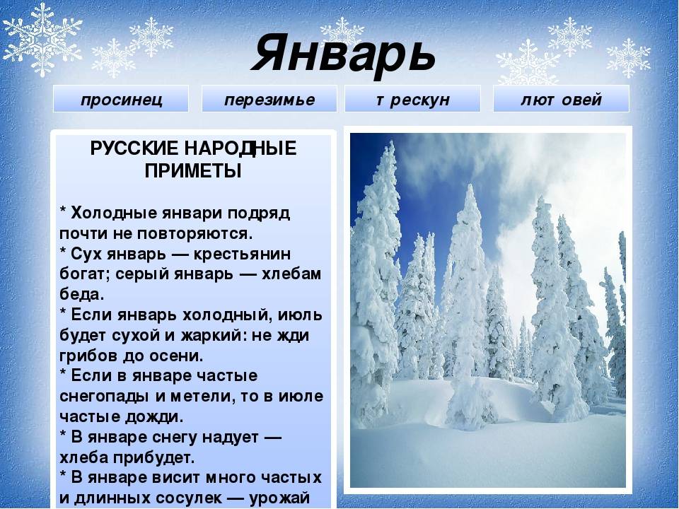 Куда вложить деньги в 2021 году, чтобы заработать