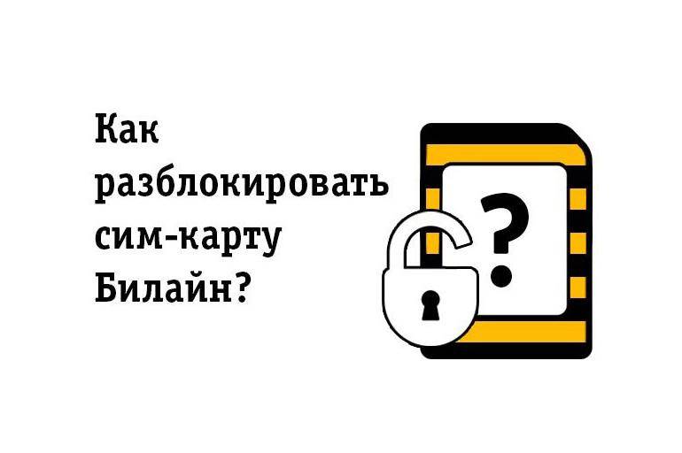 Как разблокировать сим карту оператора билайн - все способы