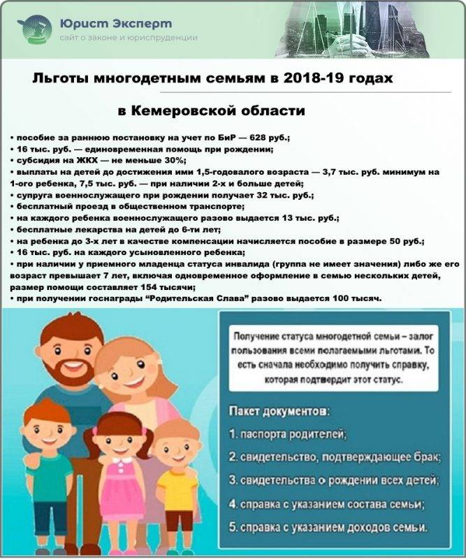 Статус многодетной матери: как получить, особенности оформления и требования - realconsult.ru