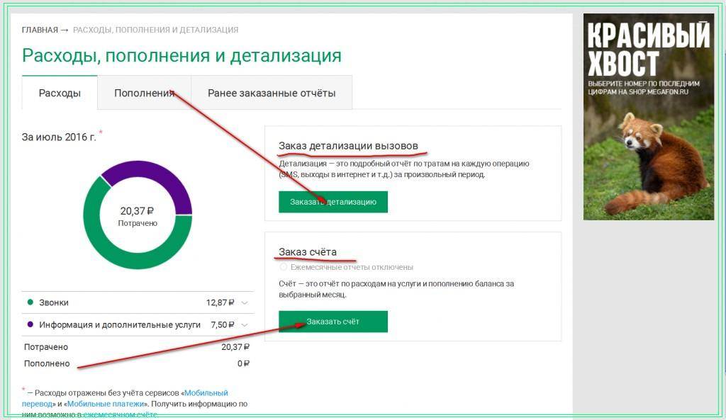 Баланс деньги мегафон. Заказать детализацию пополнения. Ежемесячный счет МЕГАФОН pdf. Как можно удалить детализацию звонков МЕГАФОН. Как очистить детализацию в личном кабинете МЕГАФОН.