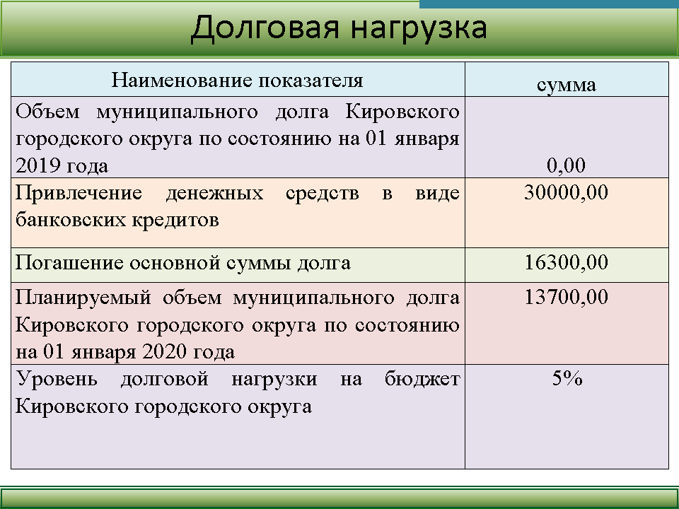 Долговая книга сельского поселения образец