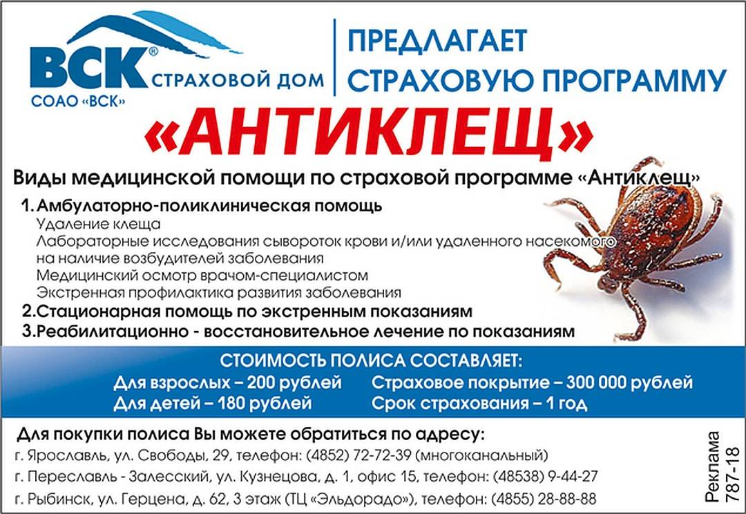 Страховка от клещей онлайн: стоимость, документы | favoritemoney.ru