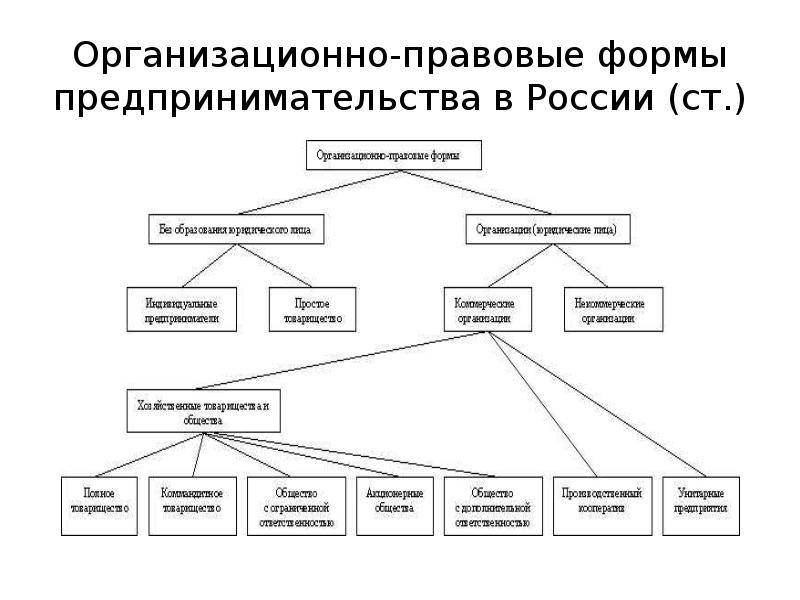 Организационно правовые организации