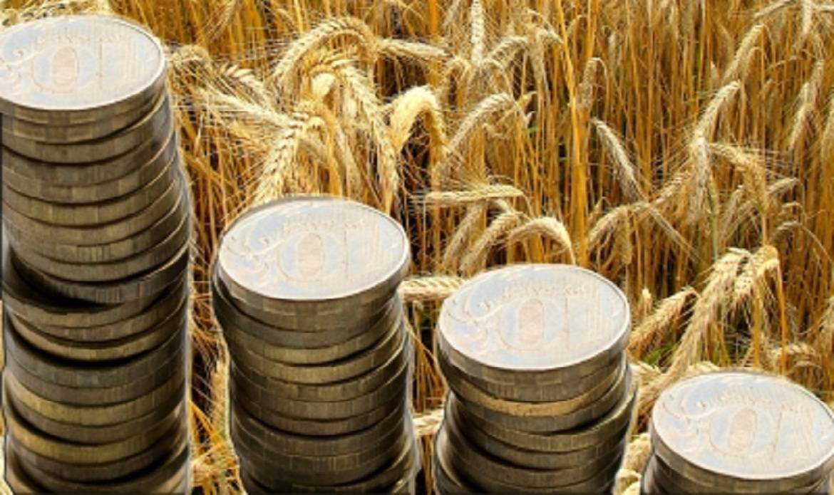 Льготный кредит на развитие сельского хозяйства под 5% (по госпрограмме): как и где получить в 2021 и 2022 году — поделу.ру