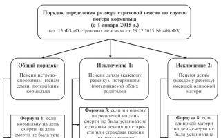 Порядок и сроки назначения страховой пенсии по случаю потери кормильца схема пошаговая