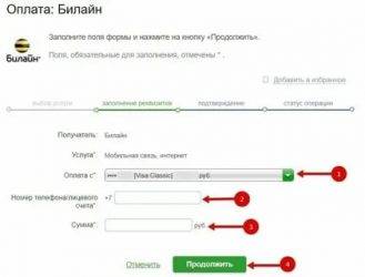 Как оплатить интернет билайн через телефон: смс, ussd команда