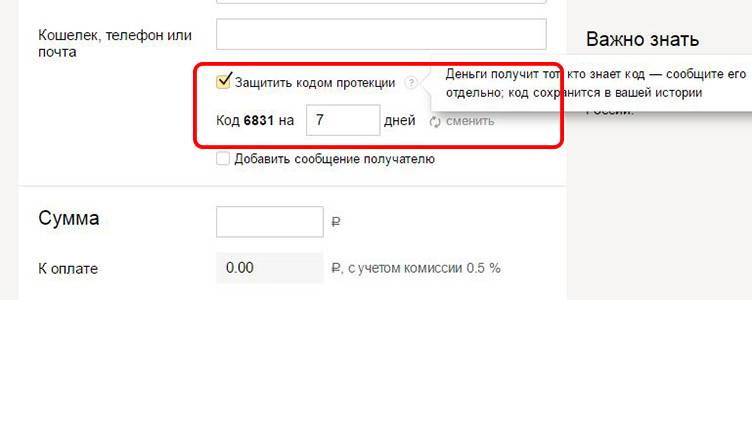 Your code перевод на русский. Оплата с кодом протекции что это. Как перевести деньги с кодом протекции.
