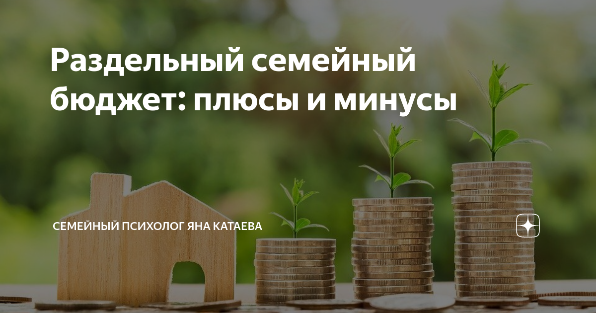 Раздельный бюджет в семье с мужем – это нормально –или общий лучше