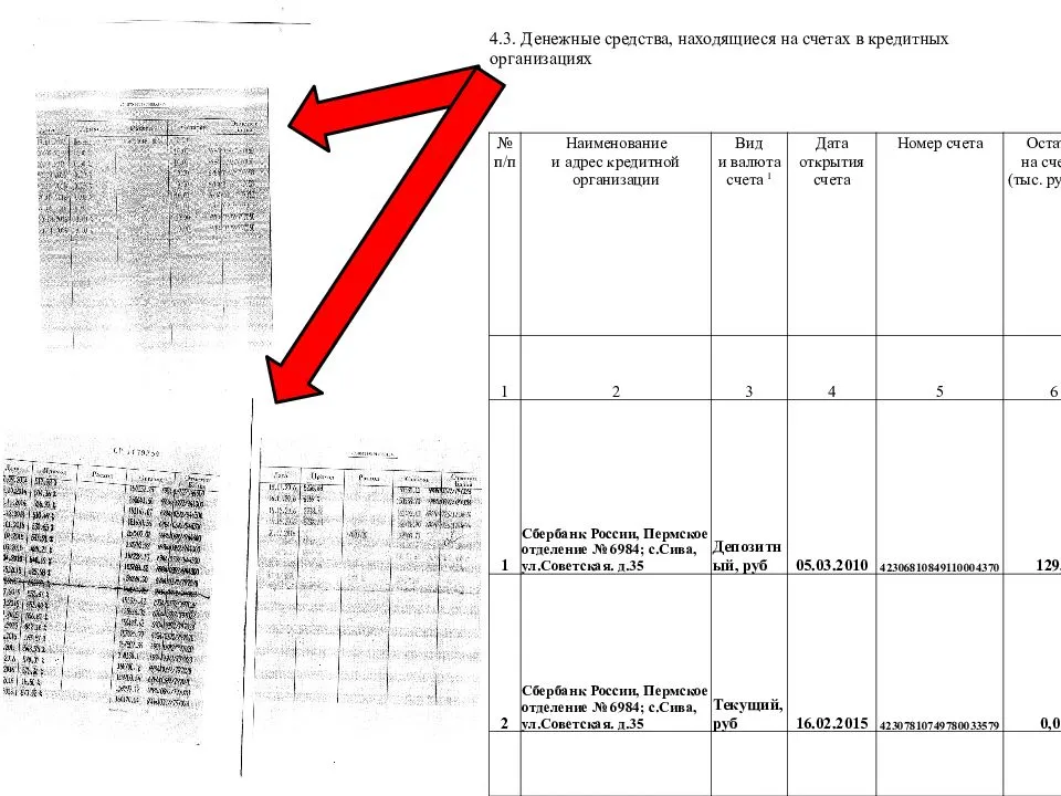 Отчет опекуна