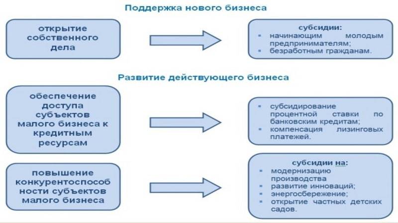 Цзн бизнес план для получения субсидии