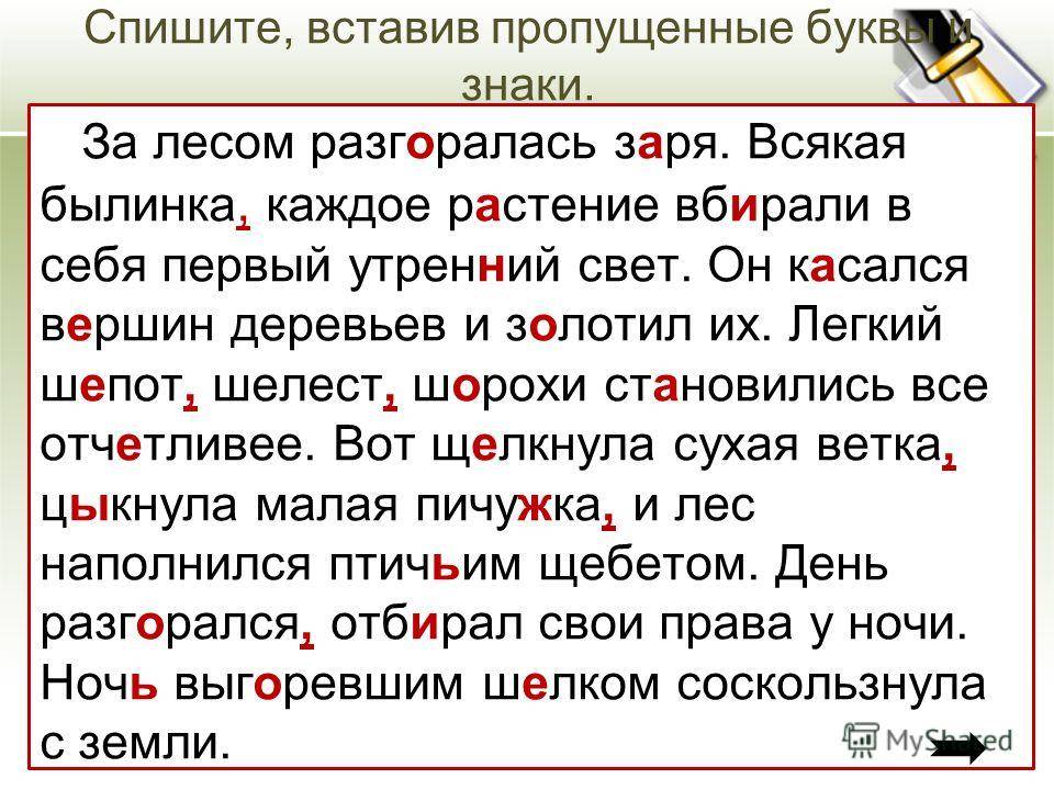 Черепахи образец жизни в броне согласен ли ты с мнением автора