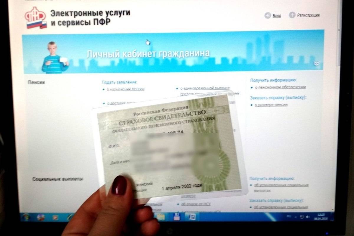 Снилс в мфц - сроки и стоимость оформления