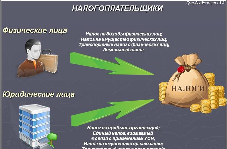 Налоги уплачиваемые гражданами презентация