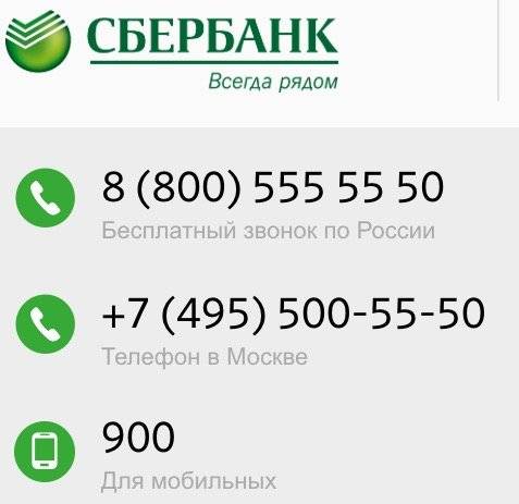 Телефон горячей линии кредитной карты бинбанк — finfex.ru