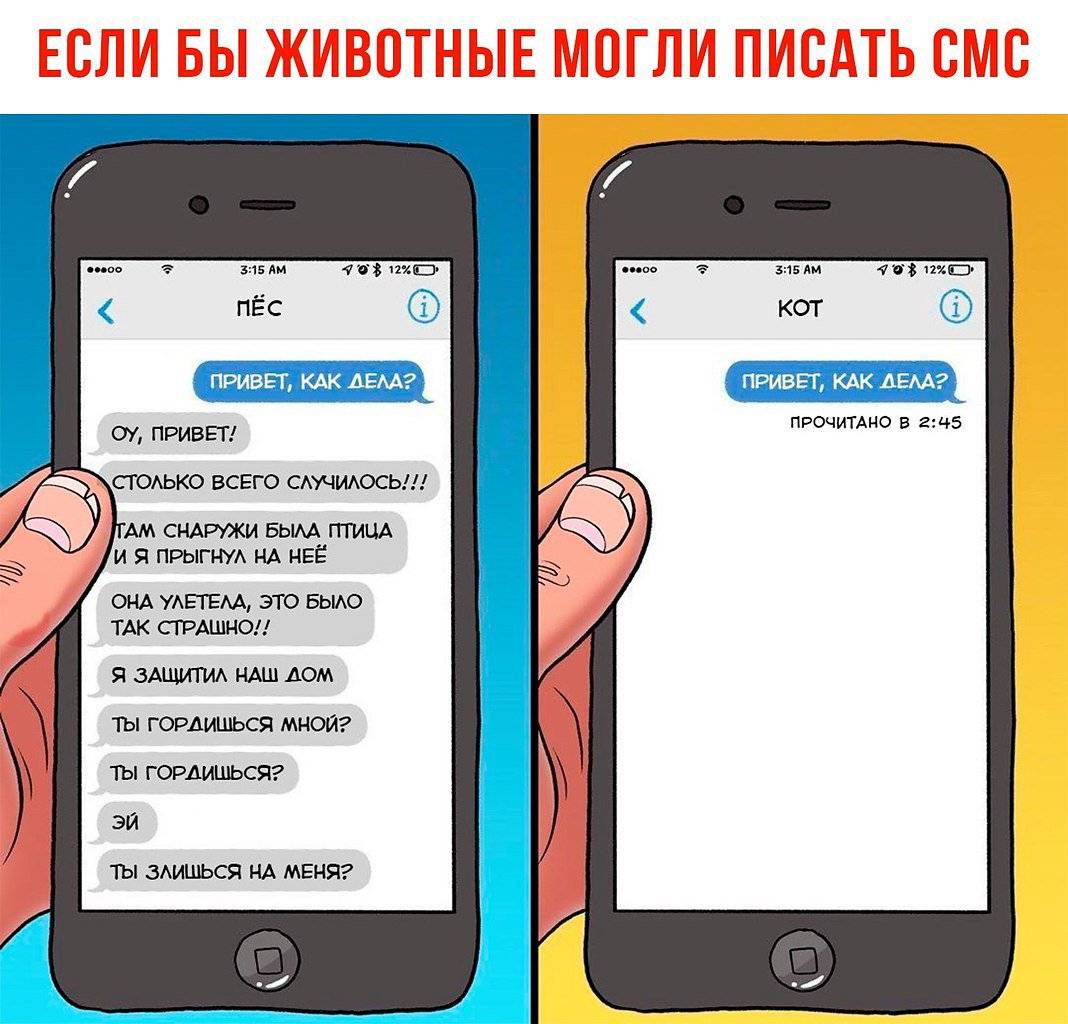 Что за смс от банка: «ваша заявка рассмотрена, вам одобрена сумма 100 000 рублей»