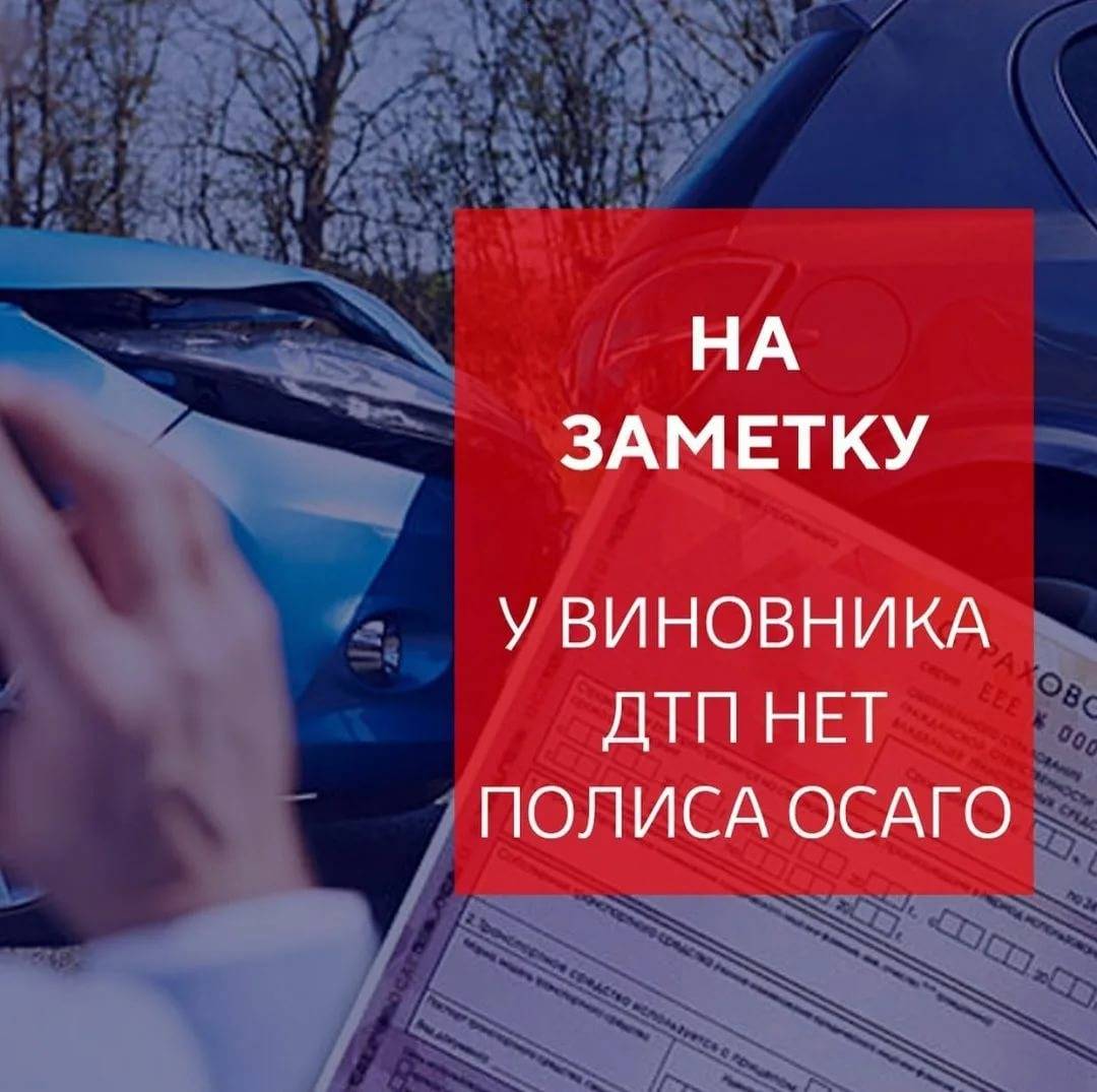 Произошло дтп, у виновника нет страховки: как получить выплаты