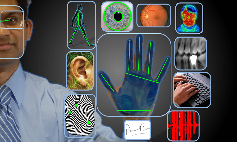Банк биометрических данных. Плиометрические данные. Биометрические данные. Биометрическая идентификация. Технологии биометрической идентификации.