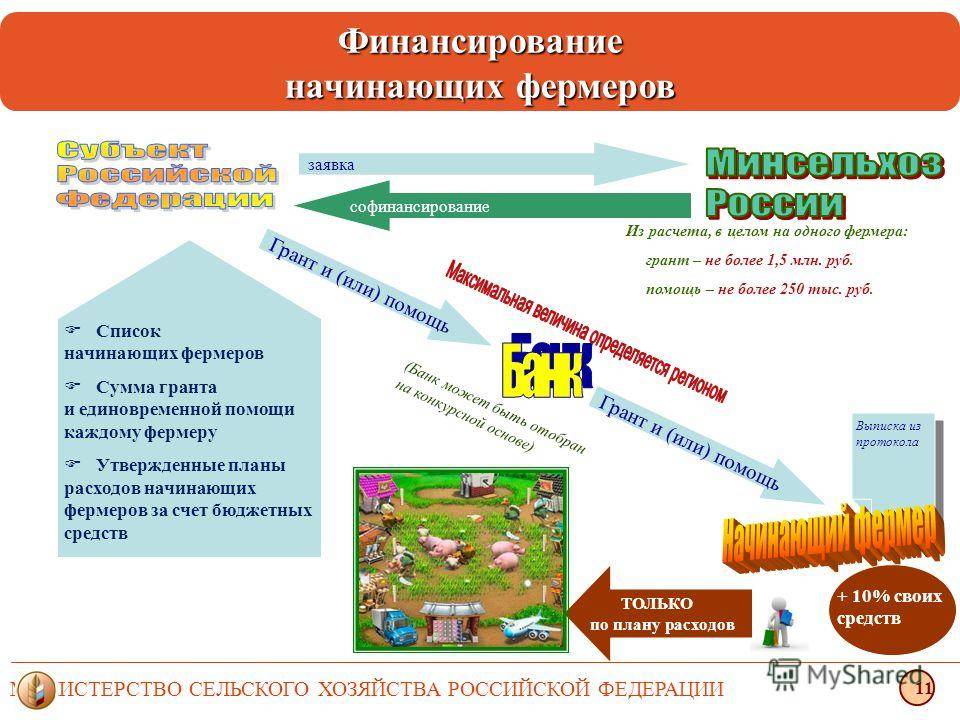 Бизнес план фермера