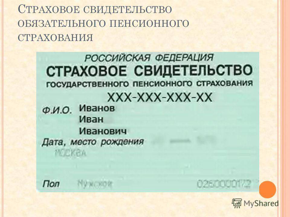 Получаем снилс за 1 день: документы, образер заявления - спутник по страховым компаниям в россии