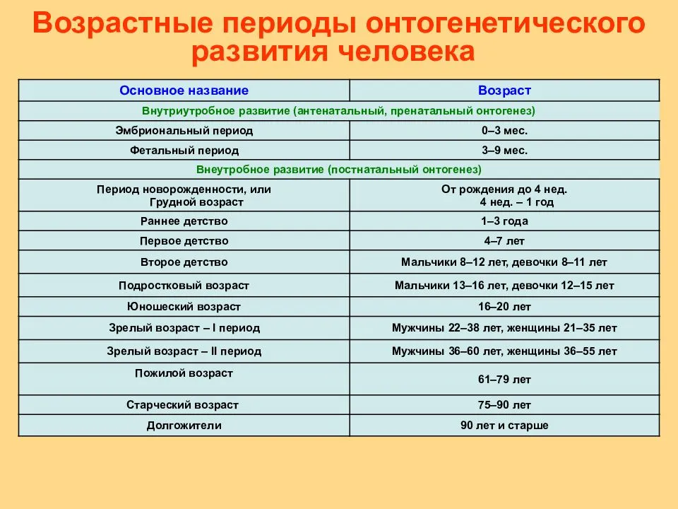 С какого возраста берут малыша в ясли или со скольки лет можно отдать ребенка в ясли или в детский сад: возрастные рамки и особенности, условия оформления
