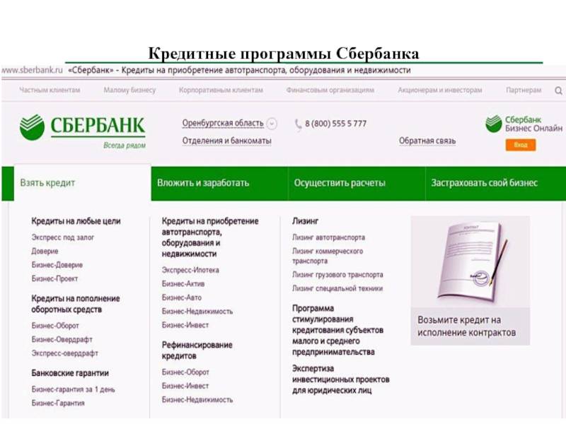 Какие бывают кредиты на открытие и развитие малого бизнеса с нуля, для ип? на каких условиях можно их получить в разных банках?