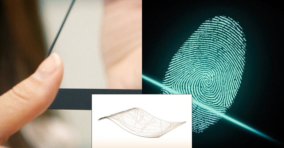 7 мифов о биометрии: разбираем с экспертом | рбк тренды