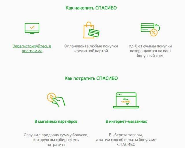 Как заработать на кредитной и дебетовой картах более 10 000 рублей: кэшбэк, льготный период и проценты
