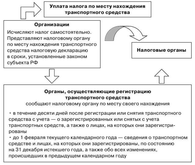 Срок уплаты транспортного налога