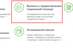 Узнать остаток материнского капитала через госуслуги