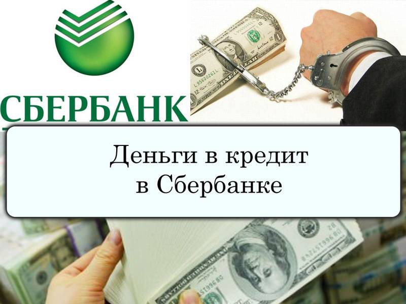 Кредиты для студентов от сбербанка россии, взять кредит студенту на учебу