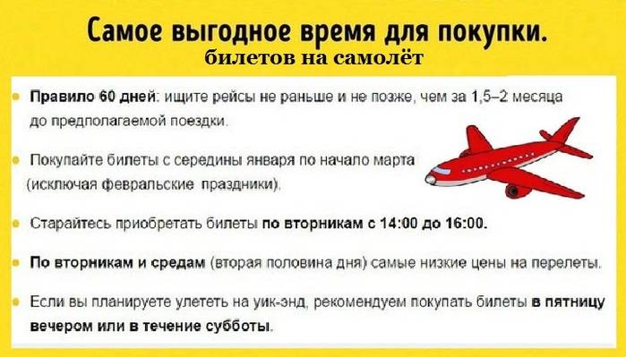 Ты берешь билеты на самолет дешевые авиабилеты в краснодар из томска