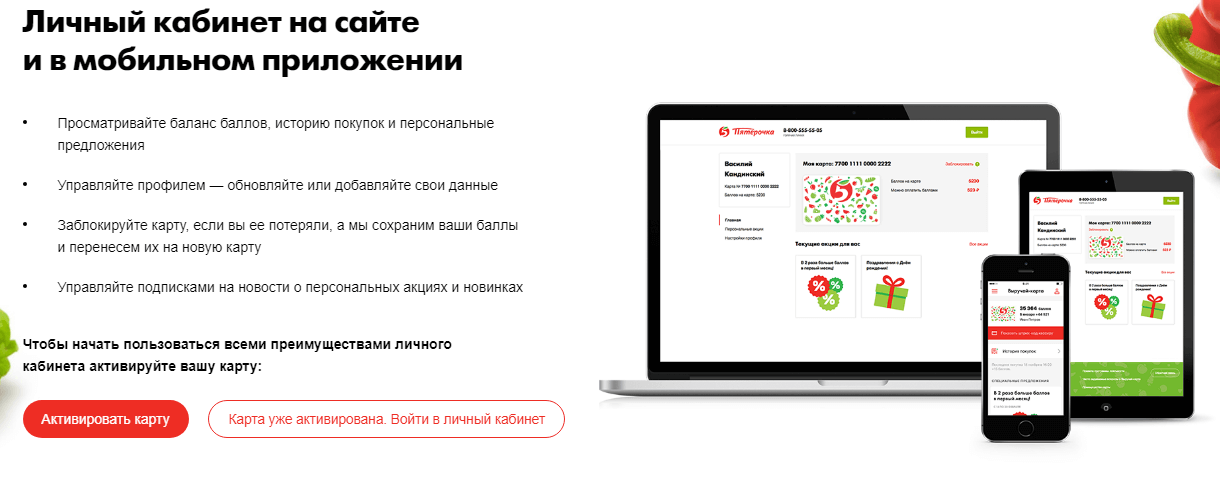 Как проверить бонусы пятерочки. как проверить баланс выручай-карта пятёрочка: по номеру карточки через интернет