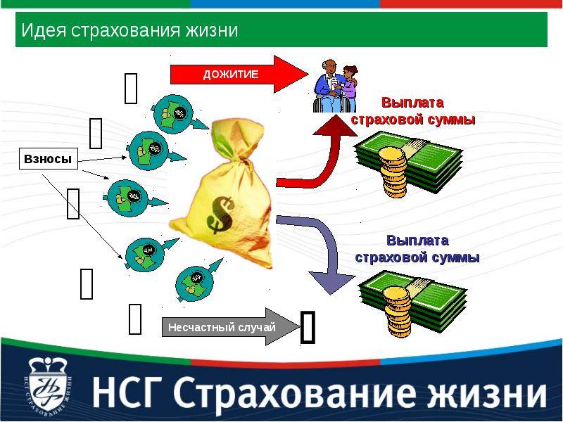 Страховые услуги 8 класс. Страхование жизни презентация. Идея страхования. Рисковое и накопительное страхование. Идея страхования жизни.