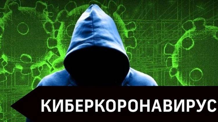 Россиян предупредили о новых видах мошенничества в период пандемии