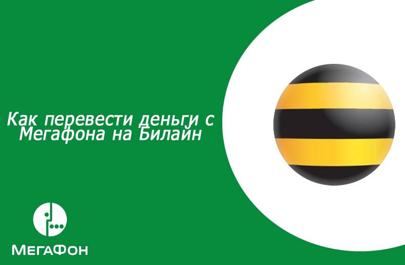 Перевод денег с билайна на мегафон. как перевести деньги с билайна на мегафон?