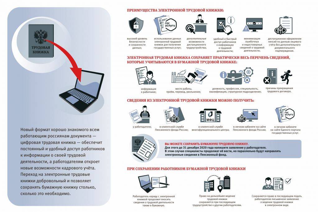 Как выглядит электронная трудовая книжка образец с 2022 года