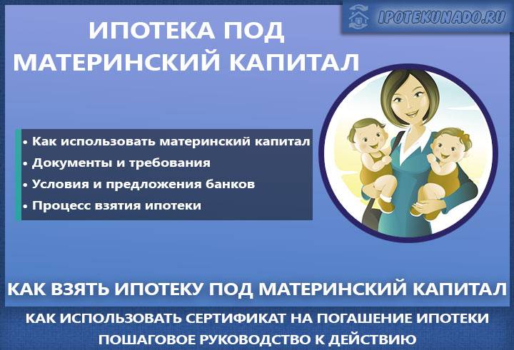 Продажа дома (квартиры) под материнский капитал: риски продавца | domosite.ru