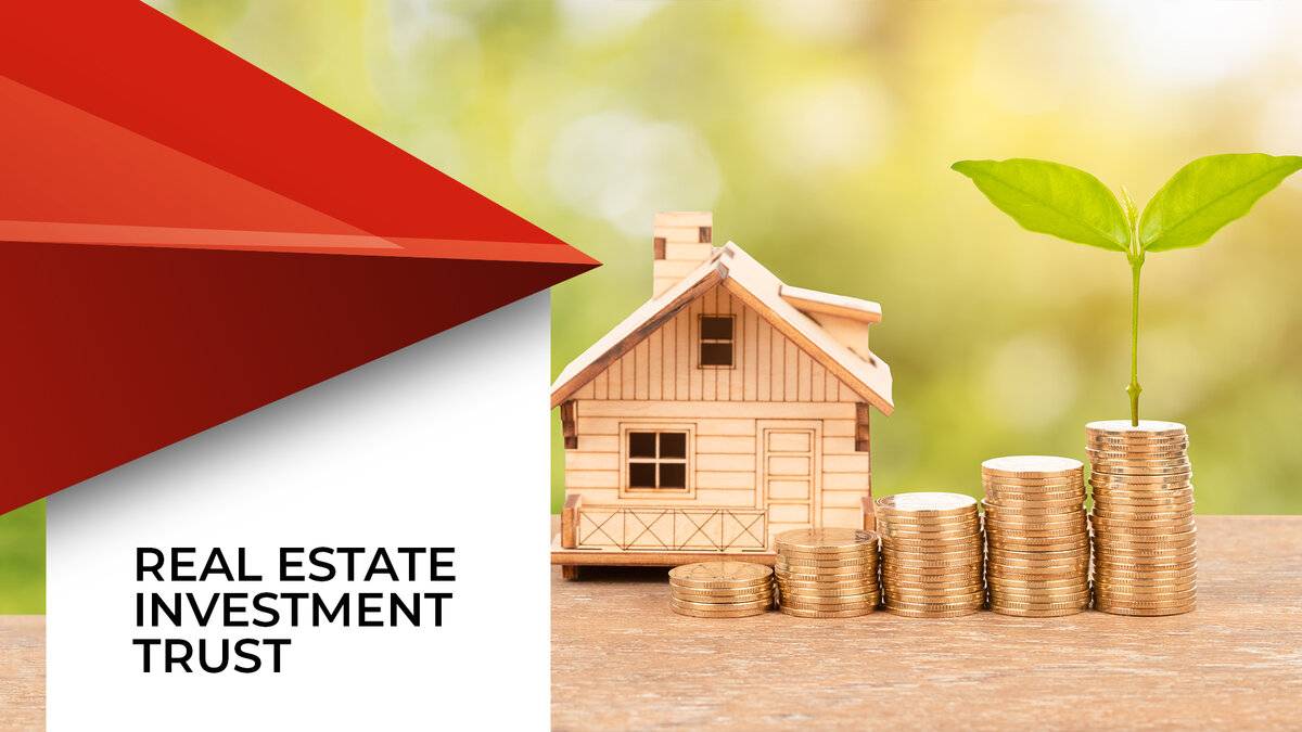 Как инвестировать в недвижимость на бирже через фонды reit?