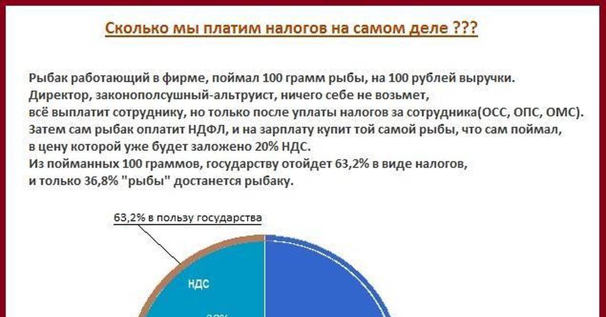 Сколько налогов получает государство. сколько налогов на самом деле платит россиянин (2 фото). скрытые налоги в продуктах и товарах