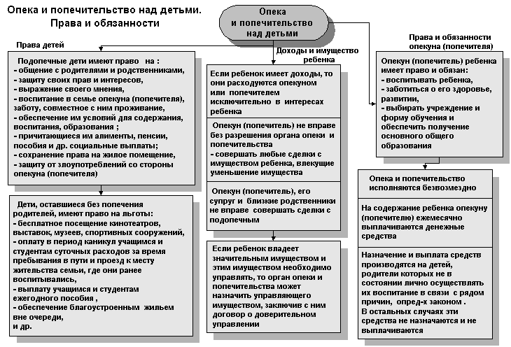 План работы с опекунской семьей