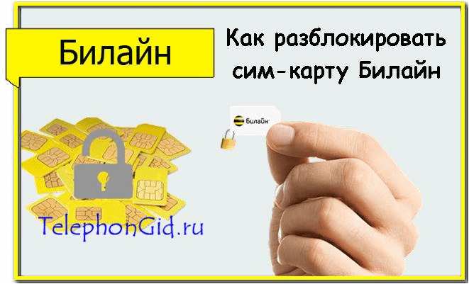 Пять способов разблокировать сим карту билайн