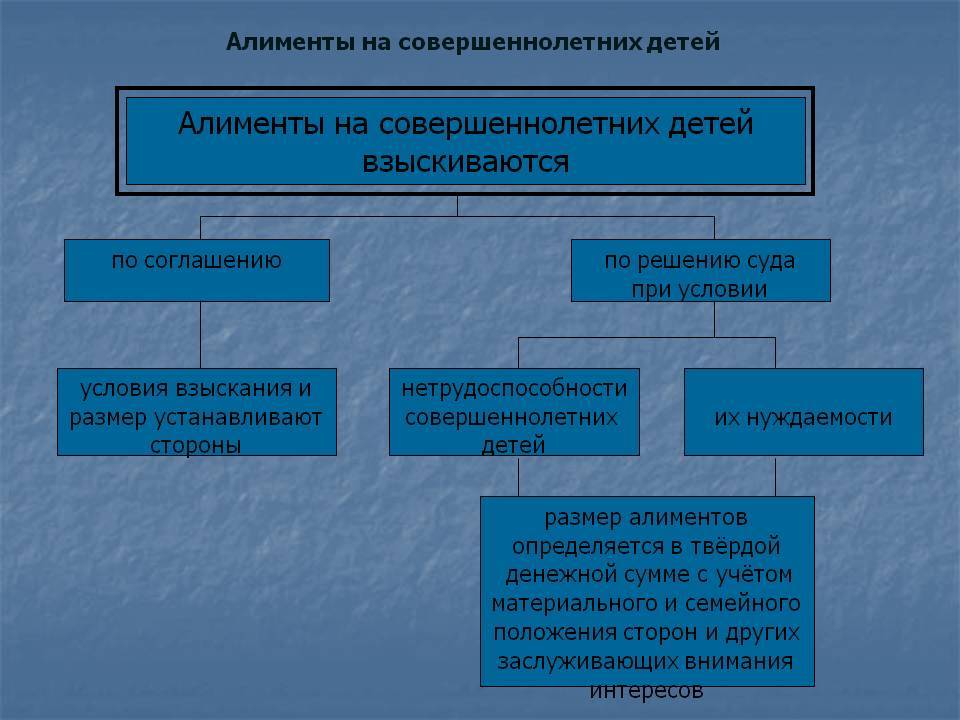 Алиментные обязательства план
