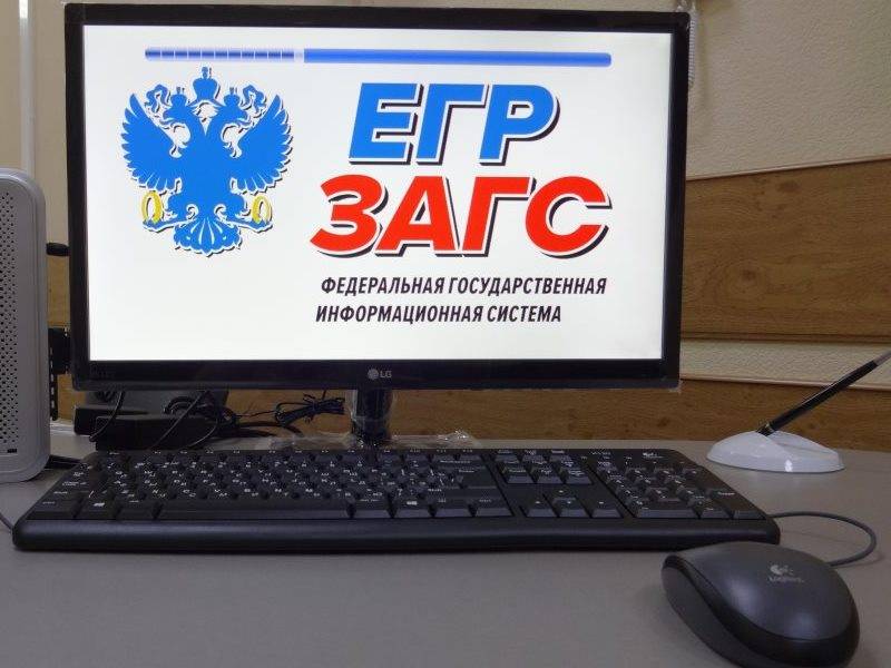 В фнс раскрыли налоговые тайны и снова попытались запустить егр загс
